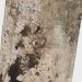 Untitled-4 thumbnail